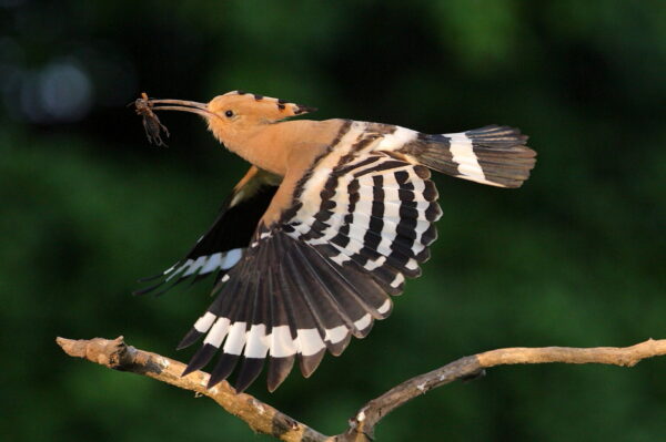 Tur foto in bucuresti